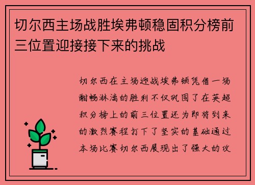 切尔西主场战胜埃弗顿稳固积分榜前三位置迎接接下来的挑战